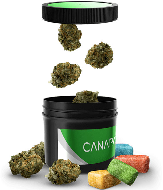 Cannabis bud filling a bottle container