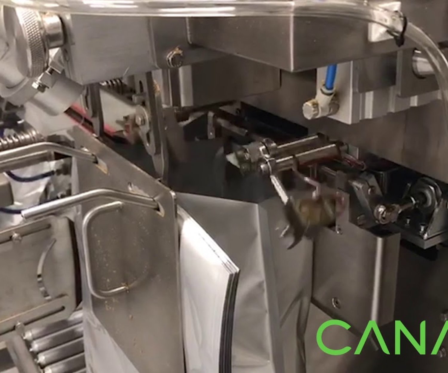 Bulk Cannabis Vacuum Packaging With PrimoLinear & Bingo Bagger