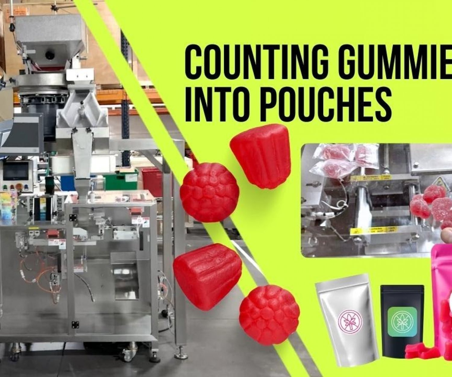 Automatic Compact CBD Gummy Packaging System - Up to 750 bags per hour