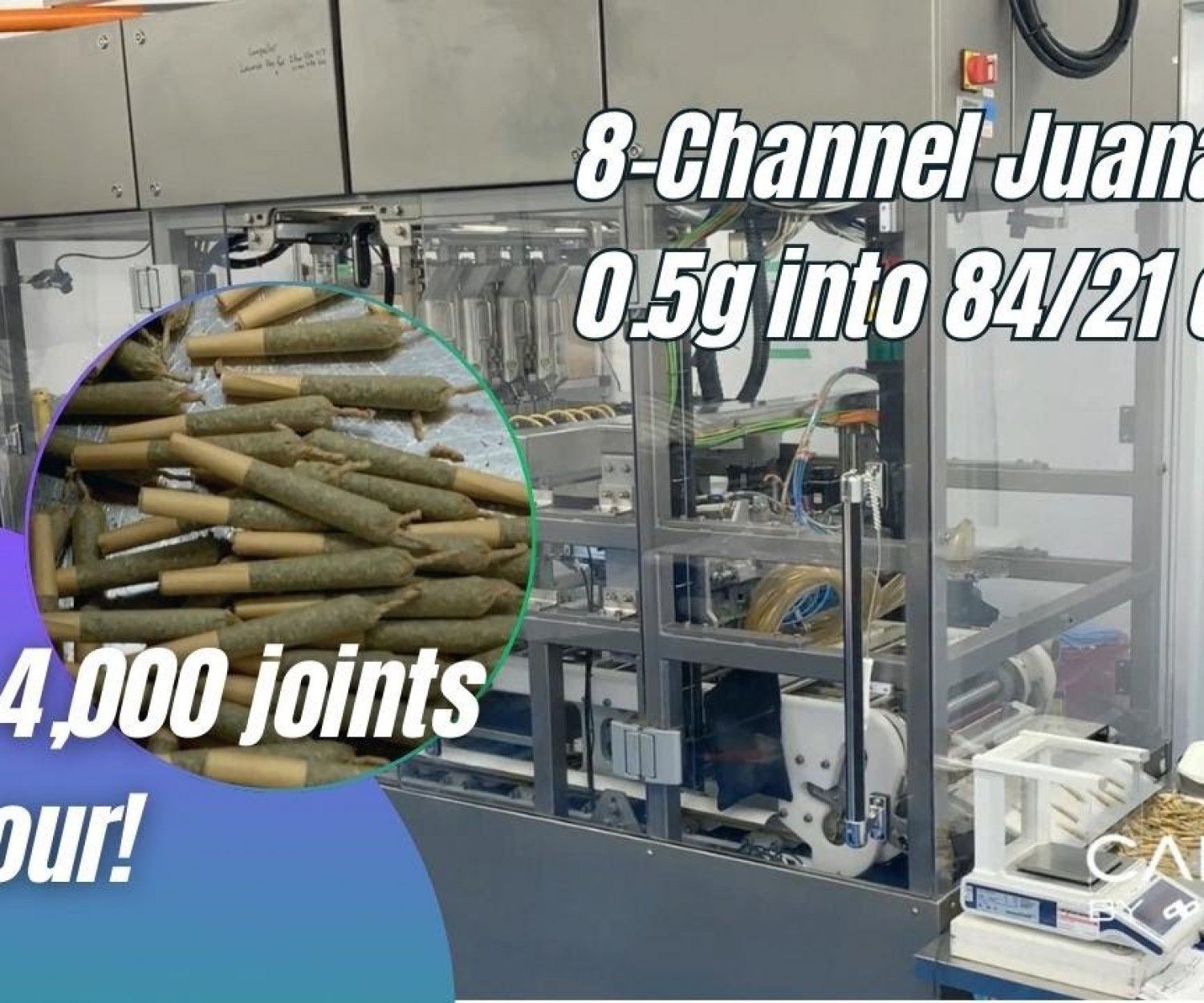 JuanaRoll 8 Channel Filling Half Gram into 84/21 Cones