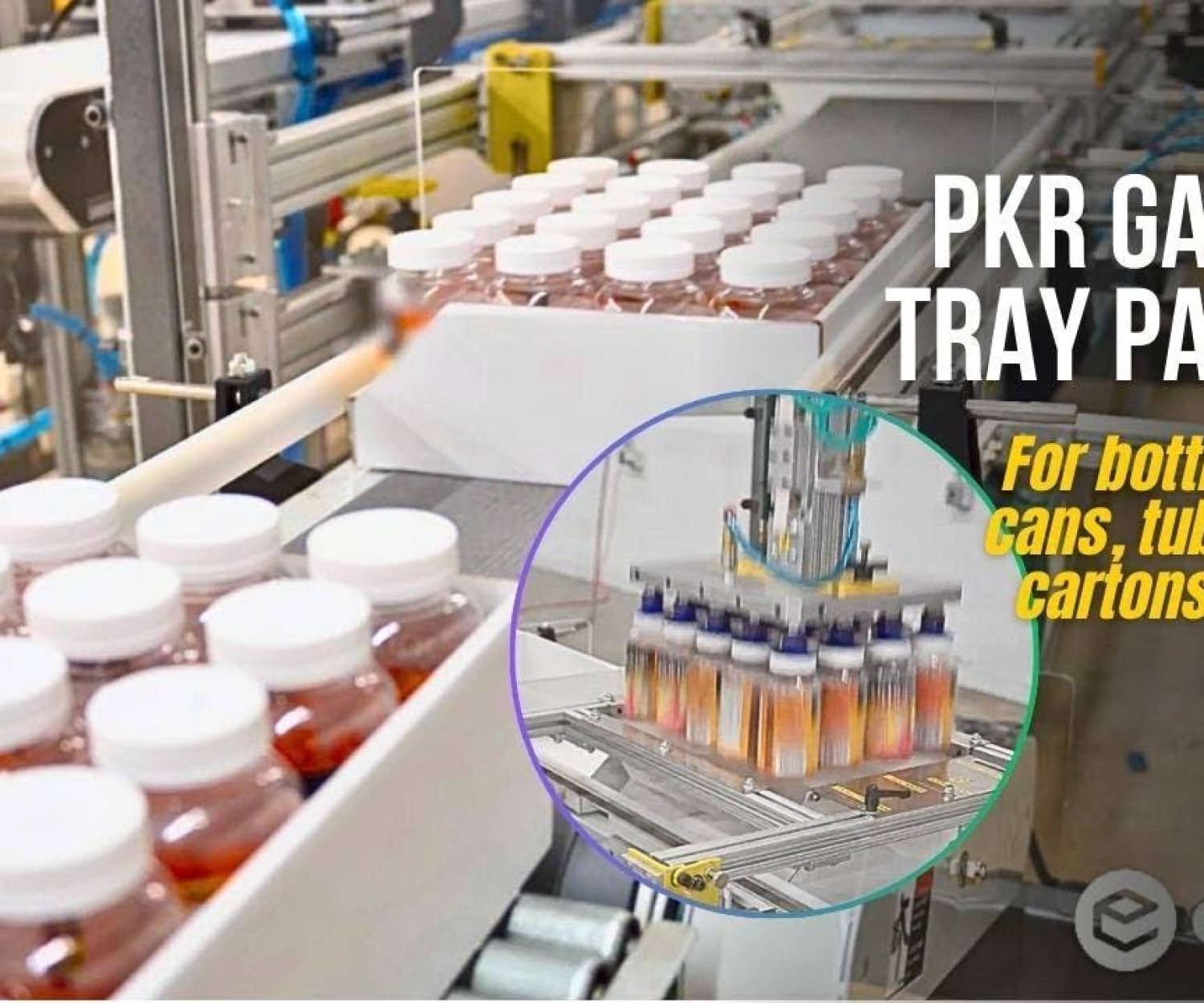 PKR Gantry for Pick & Placing Gummy bottles into Retail Display Trays