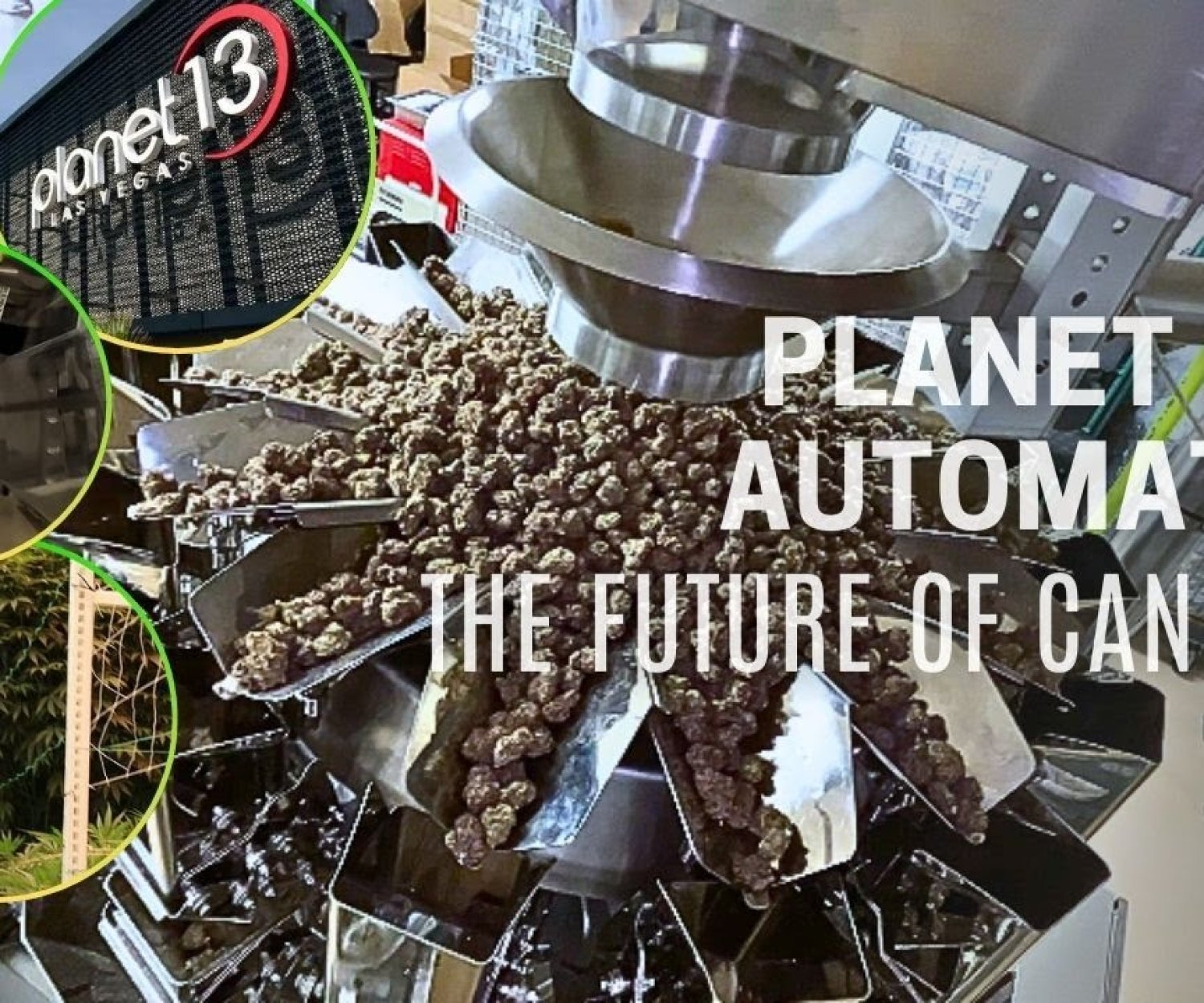 Planet 13 & Automation: Behind the Scenes at the World's Largest Dispensary