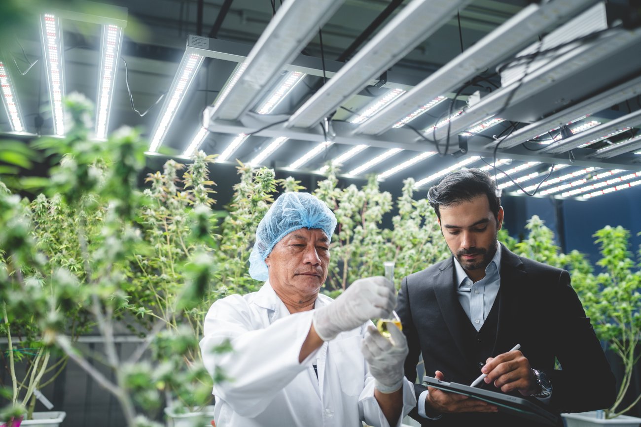 Preparing Your Cannabis Operation for Packaging Automation: A Step-by ...